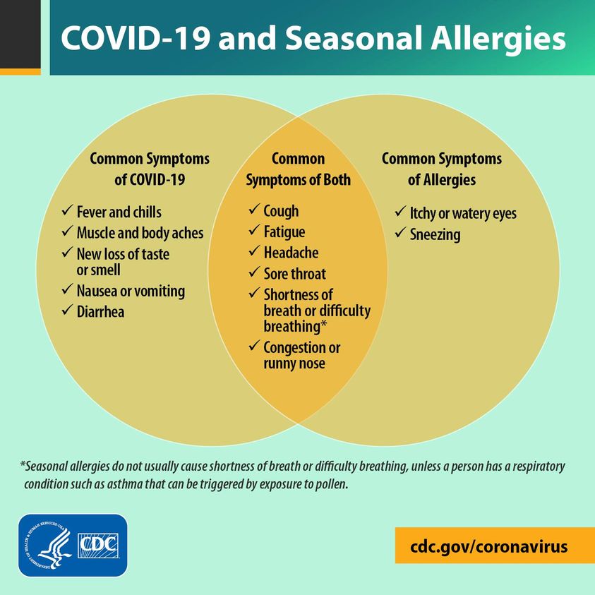 seasonal allergies infographic